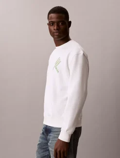 Calvin Klein Grafisches Logo-Sweatshirt^Herren Hoodies & Sweatshirts