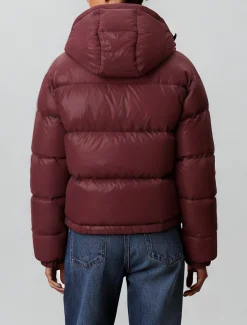 Calvin Klein Kurze Daunen-Steppjacke^Damen Stepp Jacken|JackenFrisch Eingetroffen