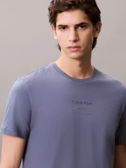 Calvin Klein Logo-T-Shirt^Herren T-shirts