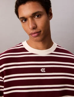 Calvin Klein Lässiges T-Shirt aus gestreiftem Jersey^Herren T-shirts
