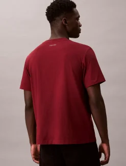 Calvin Klein Lässiges T-Shirt mit Grafik^Herren T-shirts