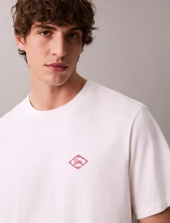 Calvin Klein Lässiges T-Shirt mit Matchbox-Logo-Grafik^Herren T-shirts