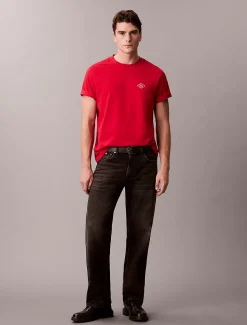 Calvin Klein Lässiges T-Shirt mit Matchbox-Logo-Grafik^Herren T-shirts