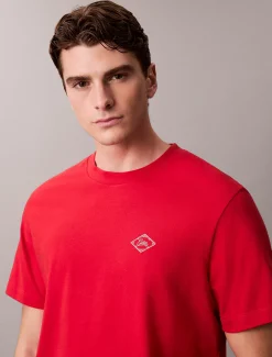 Calvin Klein Lässiges T-Shirt mit Matchbox-Logo-Grafik^Herren T-shirts