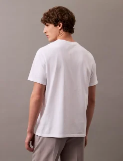 Calvin Klein Schild-Logo-T-Shirt^Herren T-shirts