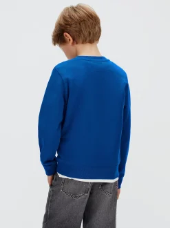 Calvin Klein Sweatshirt im Blockfarben-Design^Kinder Hoodies & Pullover|Kleidung